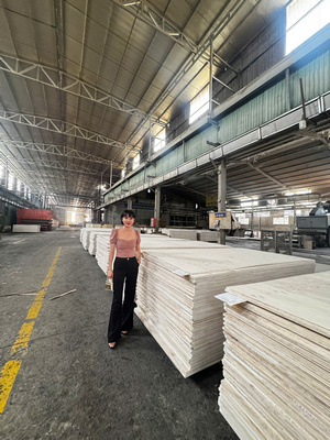 Vietnam-made products such as furniture, textiles, tools, and consumer goods