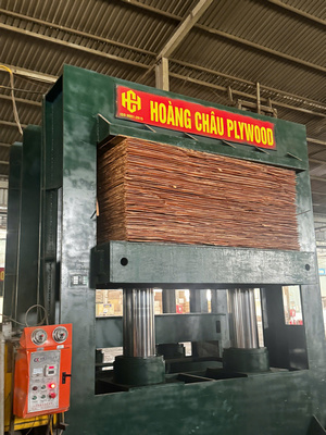 Vietnam-made products such as furniture, textiles, tools, and consumer goods